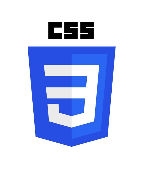 Website designing company in pollachi